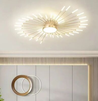 110V-240V Hardwired LED Home Lighting Modern Flush Mount Ceiling Light