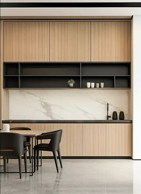 Sleek Elegant Design Modern Indoor Furnitures Residential Custom Cabinets