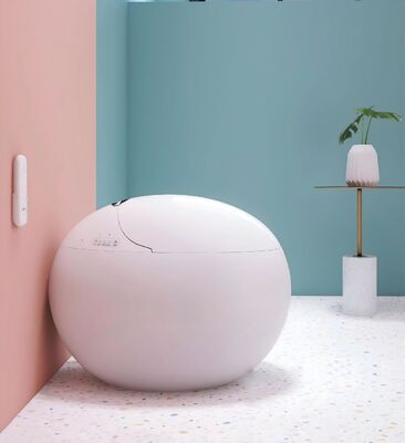 Classic Bathroom Sanitary Wares Ceramic Toilets With Upper-Pressing Two-End Flushing Button Simple Installation Process