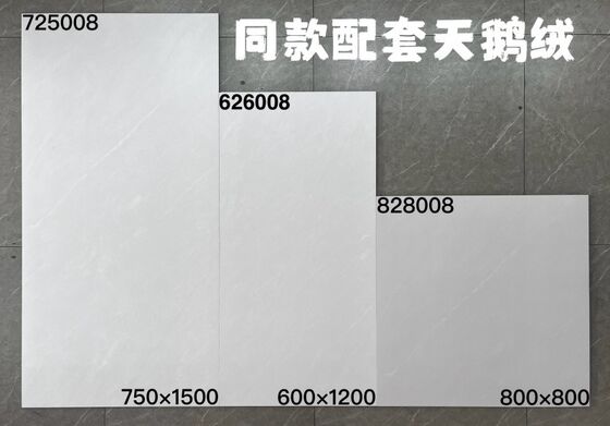 Acid-Resistant Antibacterial Ceramic Tiles Glazed Surface Treatment Modern And Vintage Design