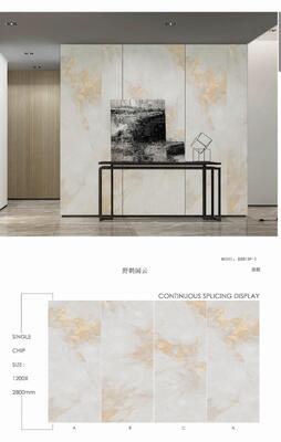 Ceramic Tiles And Material Acid-Resistant And Antibacterial Function Glazed Surface Treatment Suitable For Floor And Wall