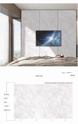 Acid-Resistant and Antibacterial Ceramic Tiles in 600*1200mm, 750*1500mm, and 900*1800mm Sizes for Modern and Vintage Designs