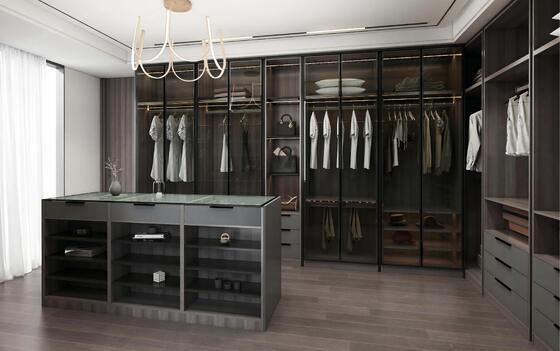 Customized Wood Stainless Steel Wardrobe for Modern Decor