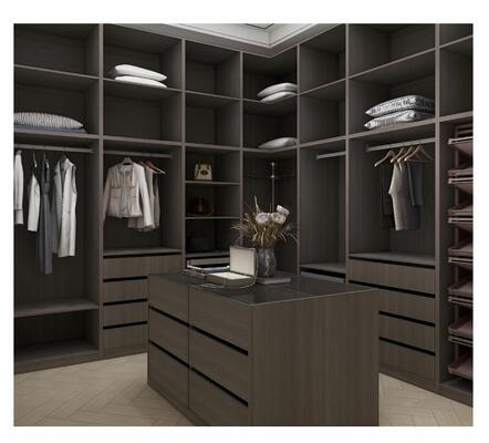 Customized Wood Stainless Steel Wardrobe for Modern Decor