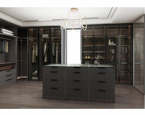 Customized Wood Stainless Steel Wardrobe for Modern Decor