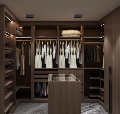 Custom Modern Wood Cabinets & Wardrobes with Stainless Steel Hardware