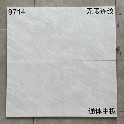 Durable 600*1200mm Ceramic Wall Cladding Tiles Indoor Outdoor Home Building Materials