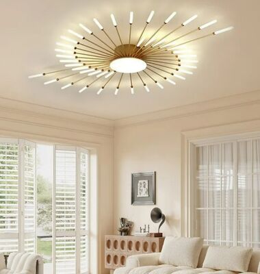 Versatile Hardwired Ceiling Lights Living Room Flush Mount Light Easy To Install