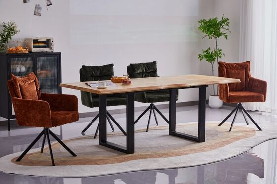 Cozy  Modern Indoor Furnitures Modern Living Room Table High Durability