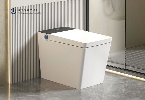 Vintage Design Ceramic Toilets With Automatic Deodorization And Night Light Bathroom Sanitary Wares