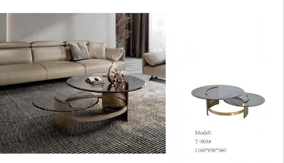 Modern Indoor Furniture For Home  In Wood Leather Glass