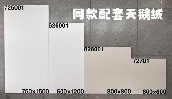 Acid-Resistant Antibacterial Ceramic Tiles Glazed Surface Treatment Modern And Vintage Design