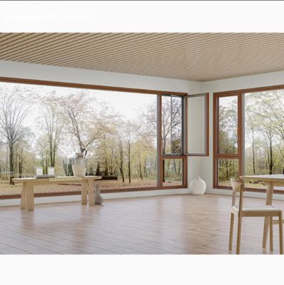 Modern Aluminum Window with Stainless Steel Flynet for Residential and Commercial Buildings Featuring Tempered Glass