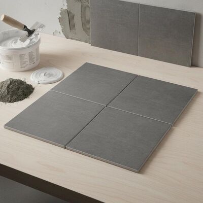 Non-combustible Ceramic Wall Tiles with Durable Surface and Thin-set Mortar Or Adhesive Installation